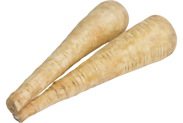 Pastinaken grof